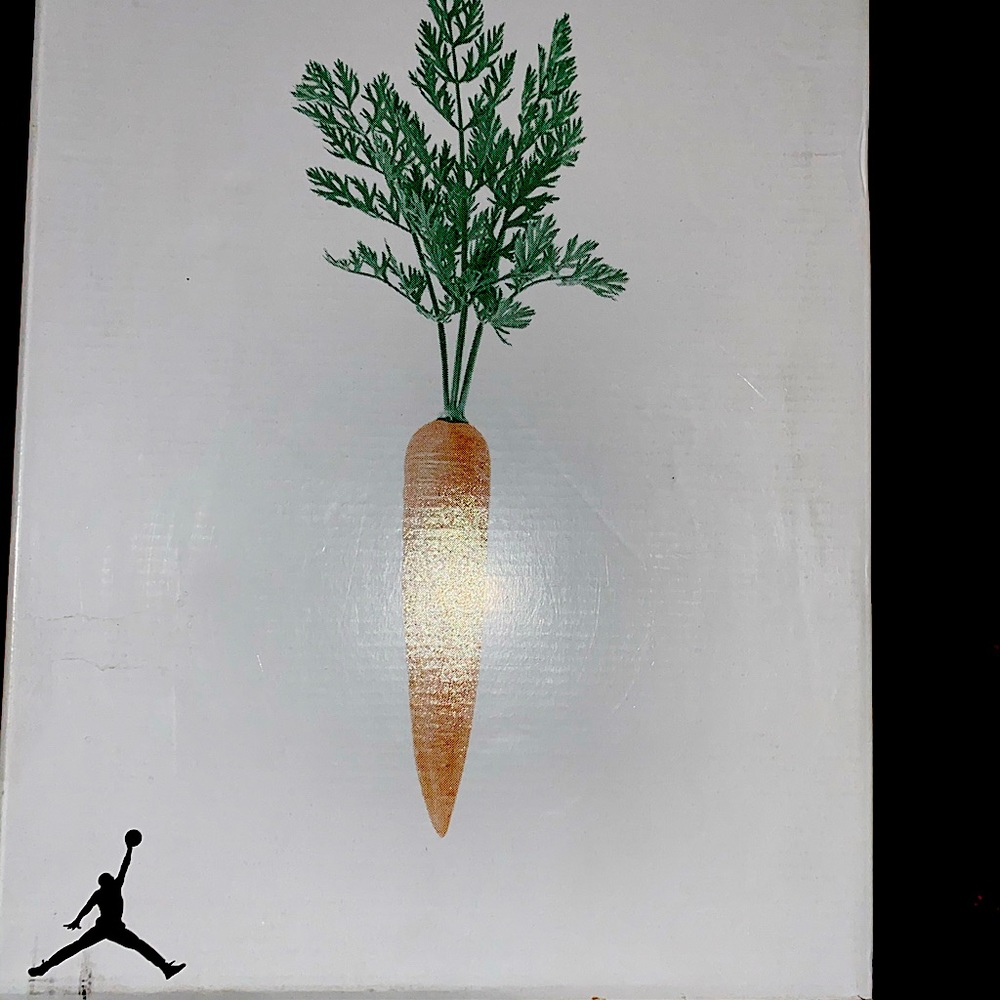 jordan 6’s hare size 8.5 worn once